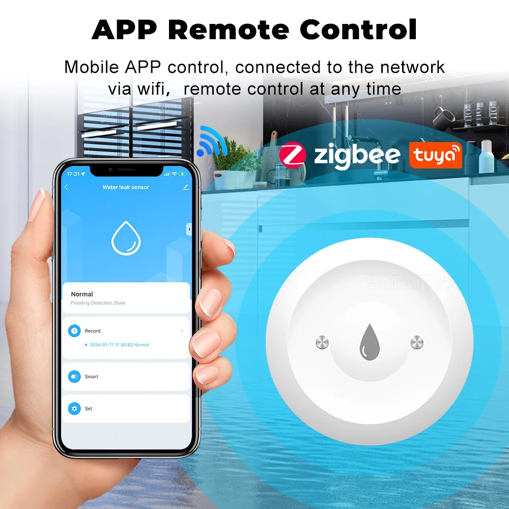 Умный погружной датчик утечки  – обзор и цена Smart Home Outdoor