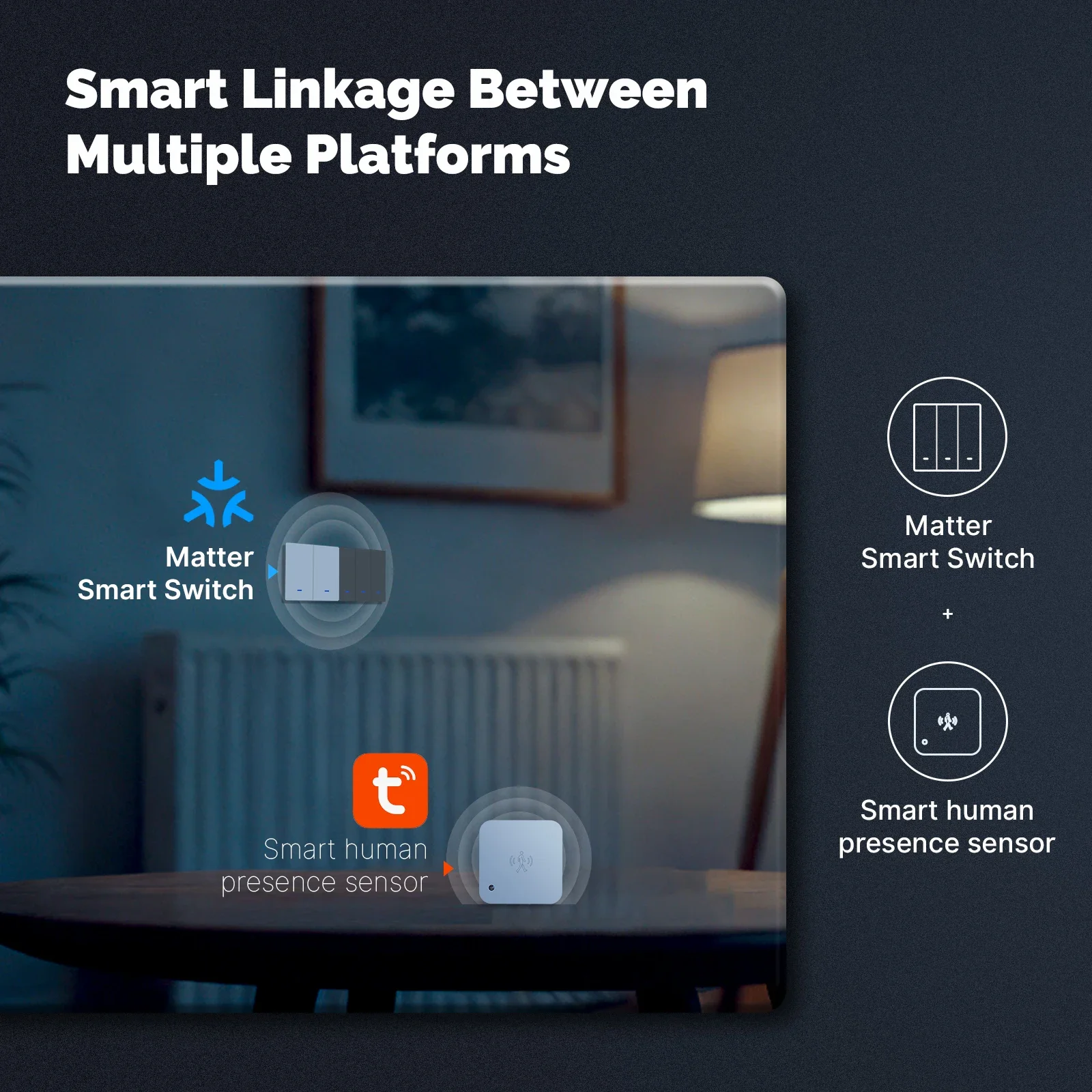 MOES Matter Tuya Wi-Fi умный к – обзор и цена Tuya Wifi Socket