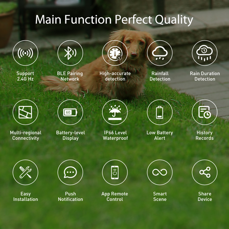 Датчик дождя Wi-Fi, определени – обзор и цена Smart Home Outdoor
